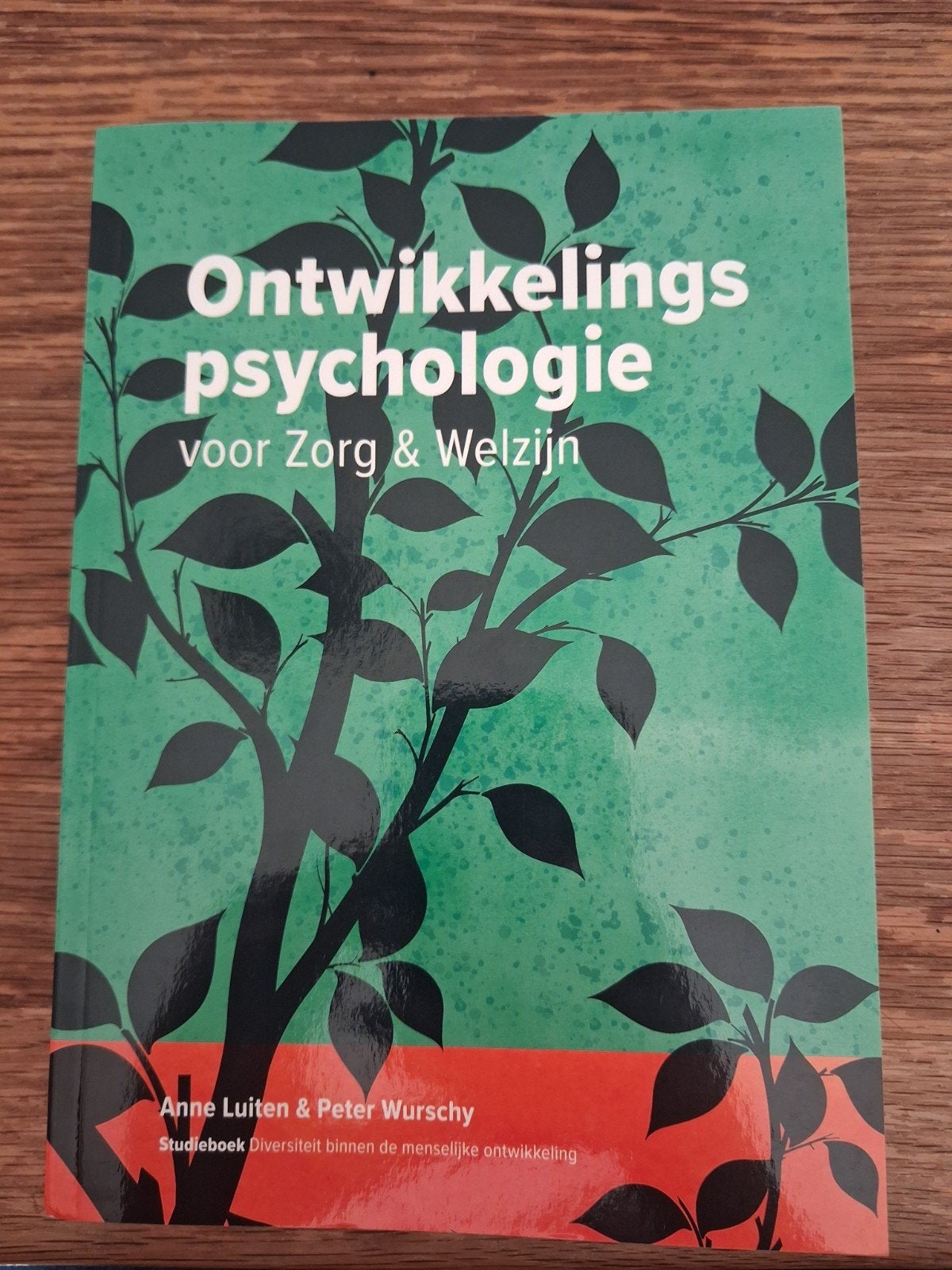 Anne Luiten - Ontwikkelingspsychologie voor Zorg en Welzijn, Ophalen of Verzenden, Ontwikkelingspsychologie, Anne Luiten; Peter Wurschy
