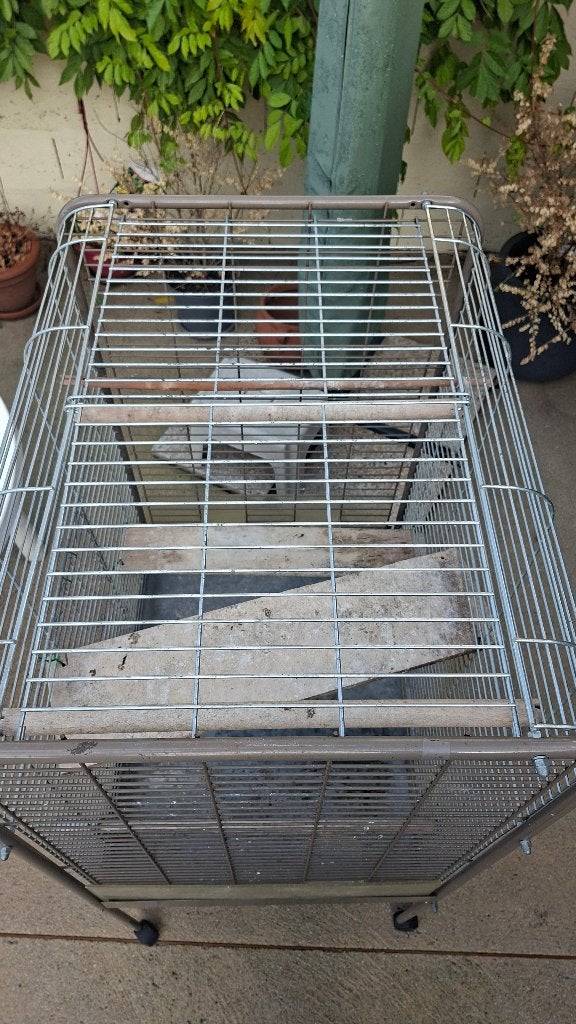 cage, Animaux & Accessoires, Enlèvement, Utilisé, Métal, Cage à oiseaux
