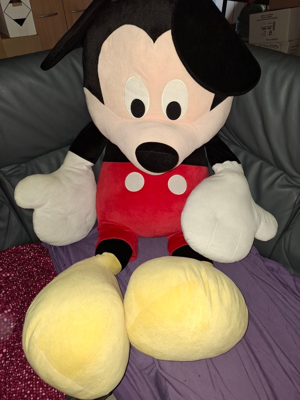 Grande peluche Mickey, Enlèvement ou Envoi