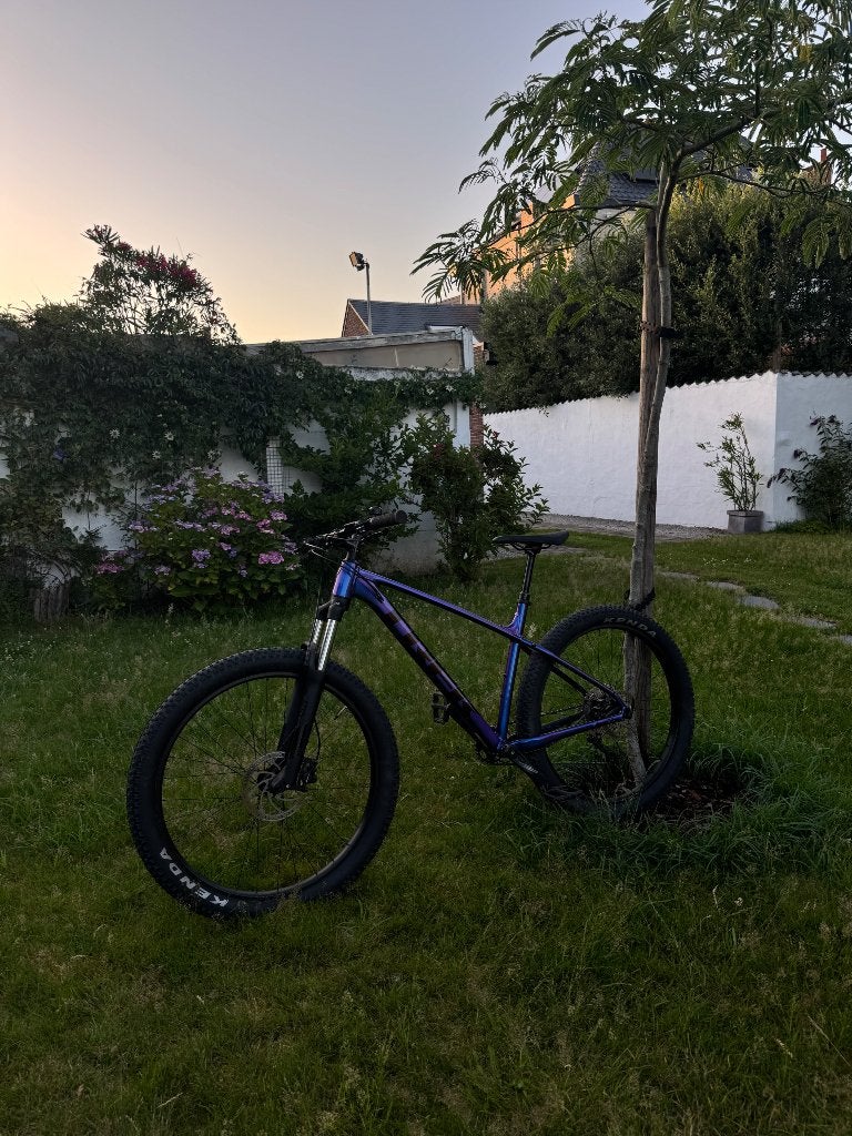 MOUNTAIN BIKE Trek | Maat: L | Extra Large banden, Enlèvement, Utilisé, Trek