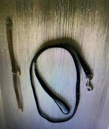 Laisse et collier pour chien, Enlèvement ou Envoi, Comme neuf, Chiens, Zie beschrijving