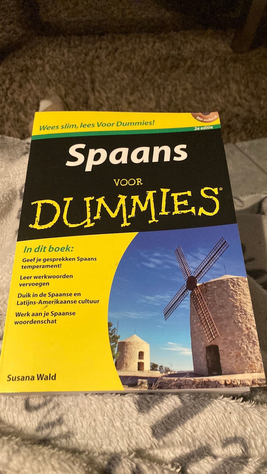 Susane Wald Spaans voor dummies, Boeken, Ophalen of Verzenden, Zo goed als nieuw
