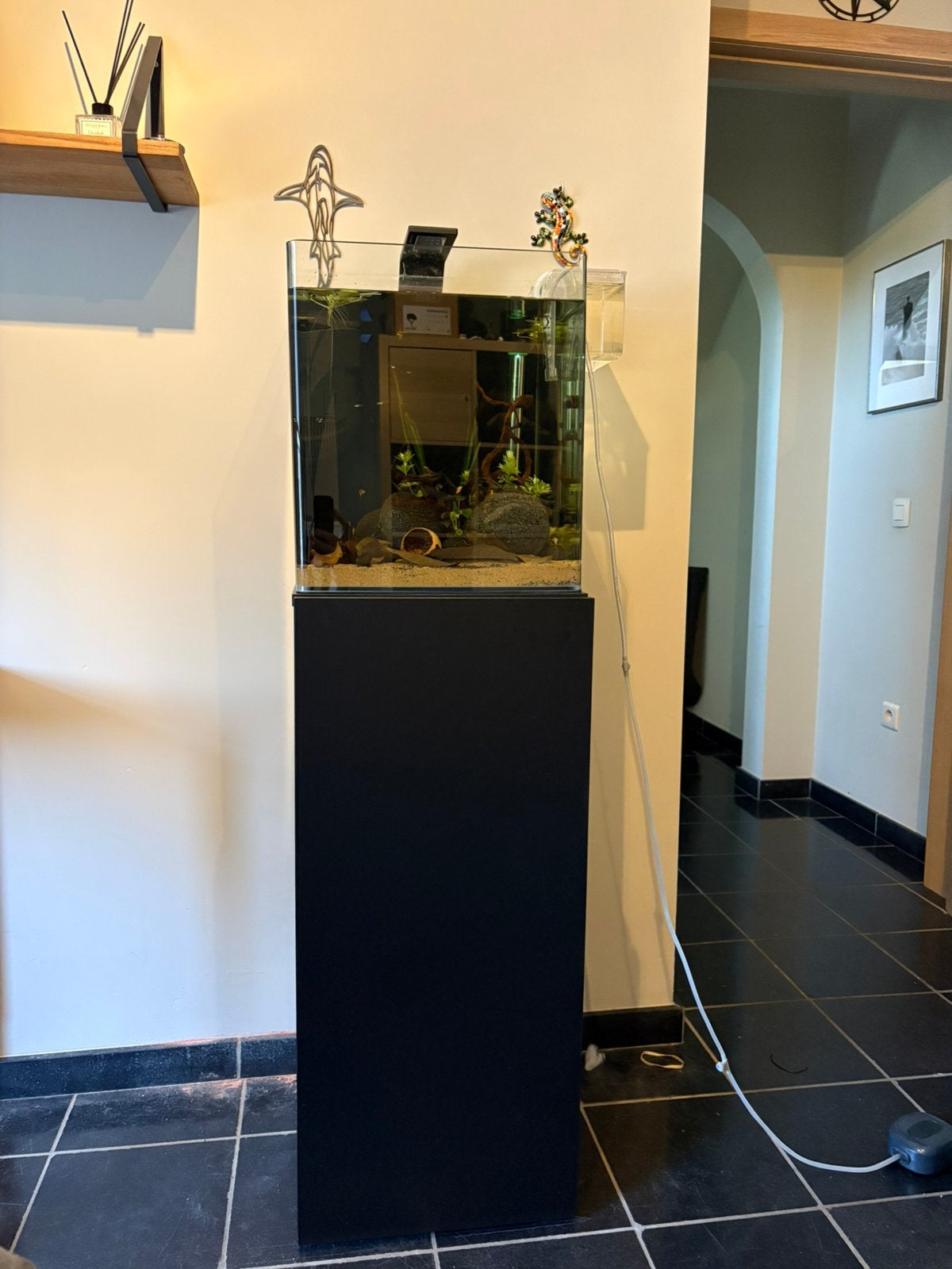 Dennerle nano cube 60 + meubel, Ophalen, Dennerle, Zo goed als nieuw, Verwarming