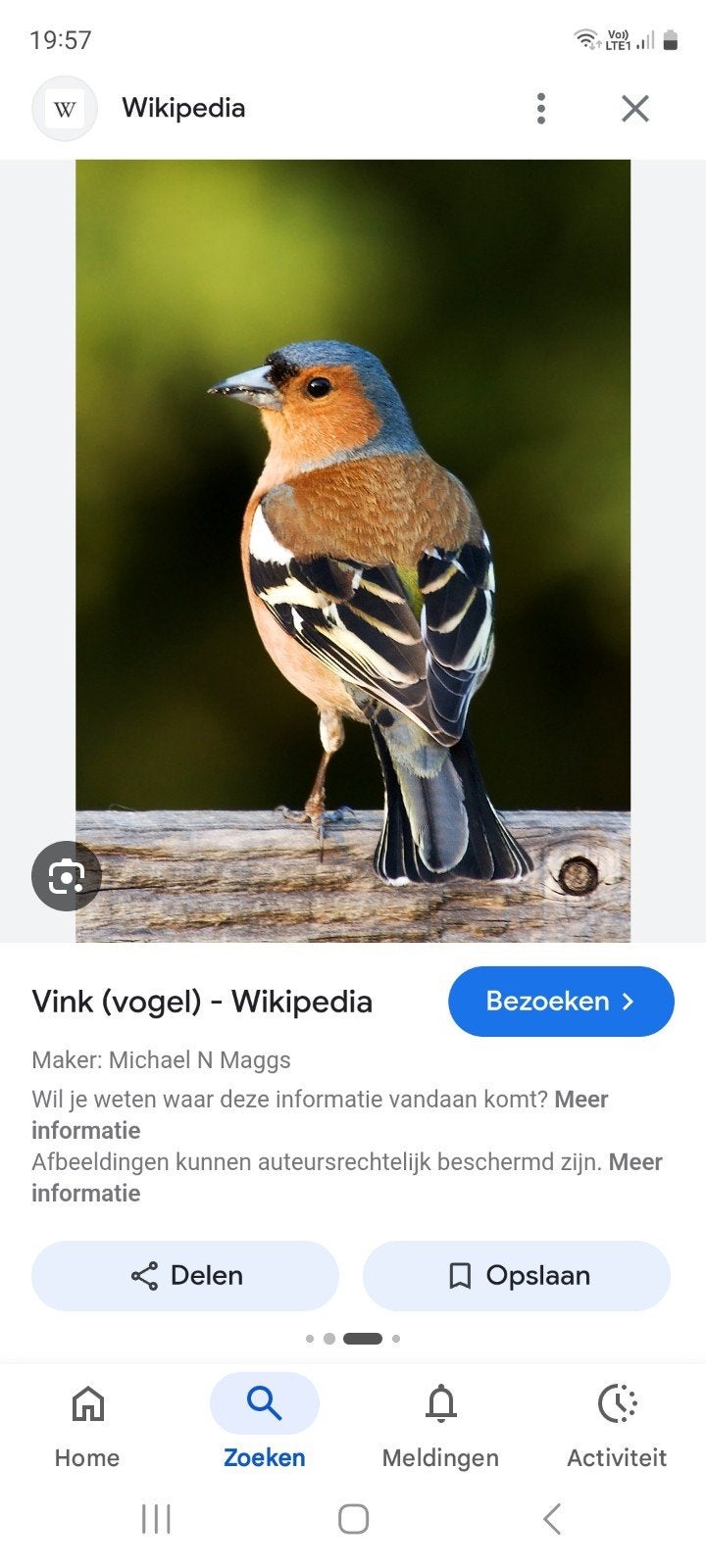 Botvink