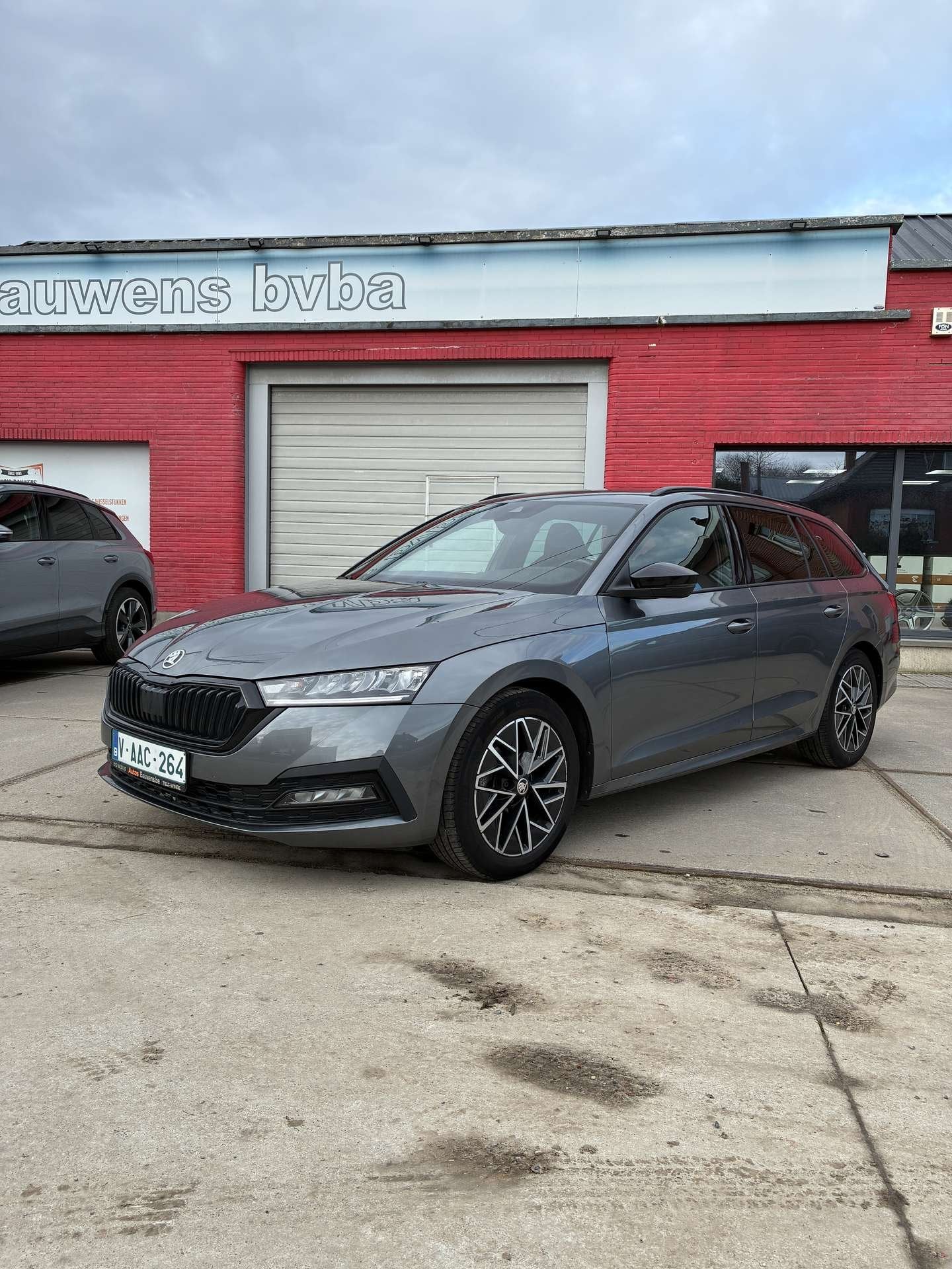 Skoda Octavia Octavia SW 1.5 TSI eTec MHE Style DSG, Argent ou Gris, Achat, Entreprise, 5 portes