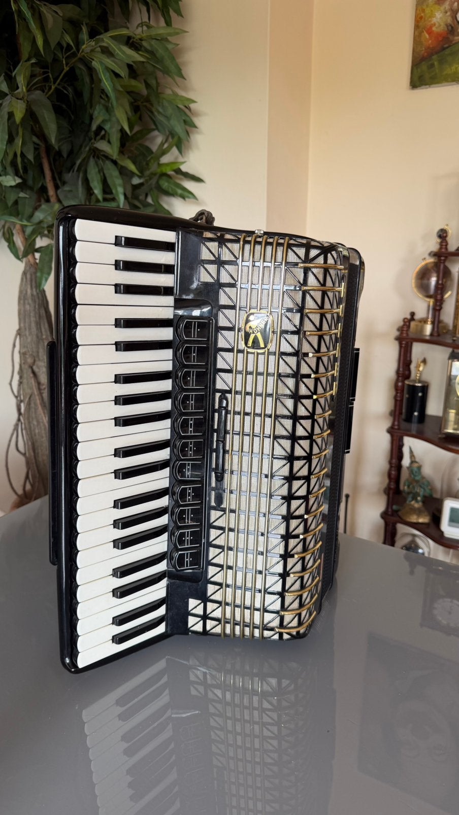 Hohner accordeon, Ophalen, Gebruikt, Overige formaten, Toetsaccordeon