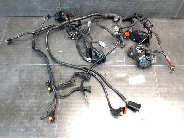 Multistrada 1000 2003 - 2006 Ducati Kabelboom D1-61401, Motoren