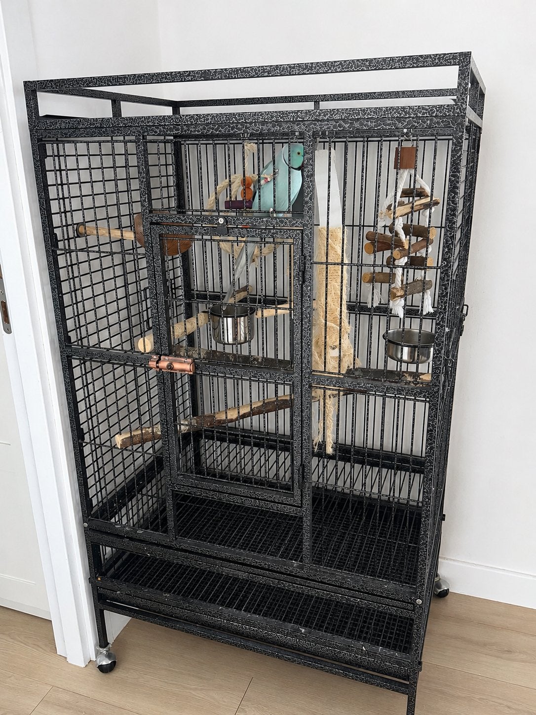 Blauwe Halsbandparkiet + grote vogelkooi, Ophalen, Gebruikt, Vogelkooi