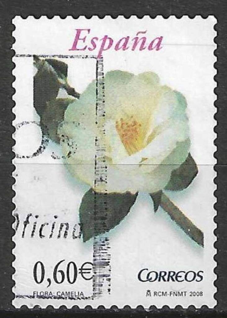 Spanje 2008 - Yvert 3989 - Camelia (ST), Verzenden, Gestempeld