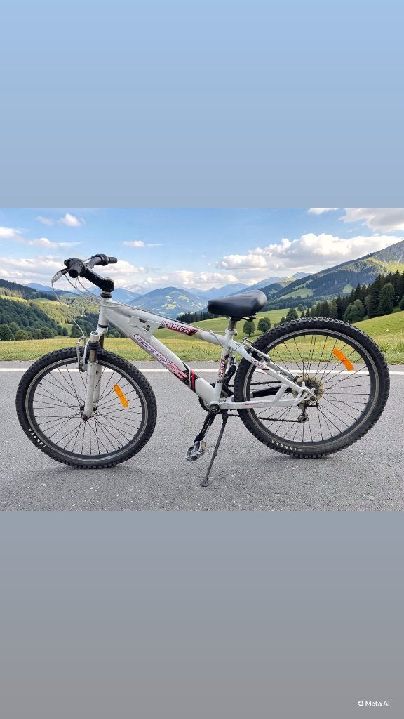 GTIX Master met 26 inch wielen, Fietsen en Brommers, Fietsen | Mountainbikes en ATB, Gebruikt, 49 tot 53 cm, Geen vering, Ophalen
