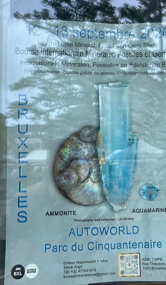 La bourse des mineraux et fossiles approche, Enlèvement ou Envoi, Autres types