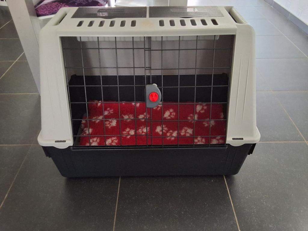 Bench voor in huis of in de wagen, Dieren en Toebehoren, Hondenbenches, Ophalen