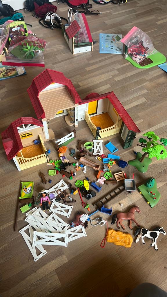 Playmobil 6926 Paardrijclub, Enlèvement ou Envoi, Comme neuf, Ensemble complet