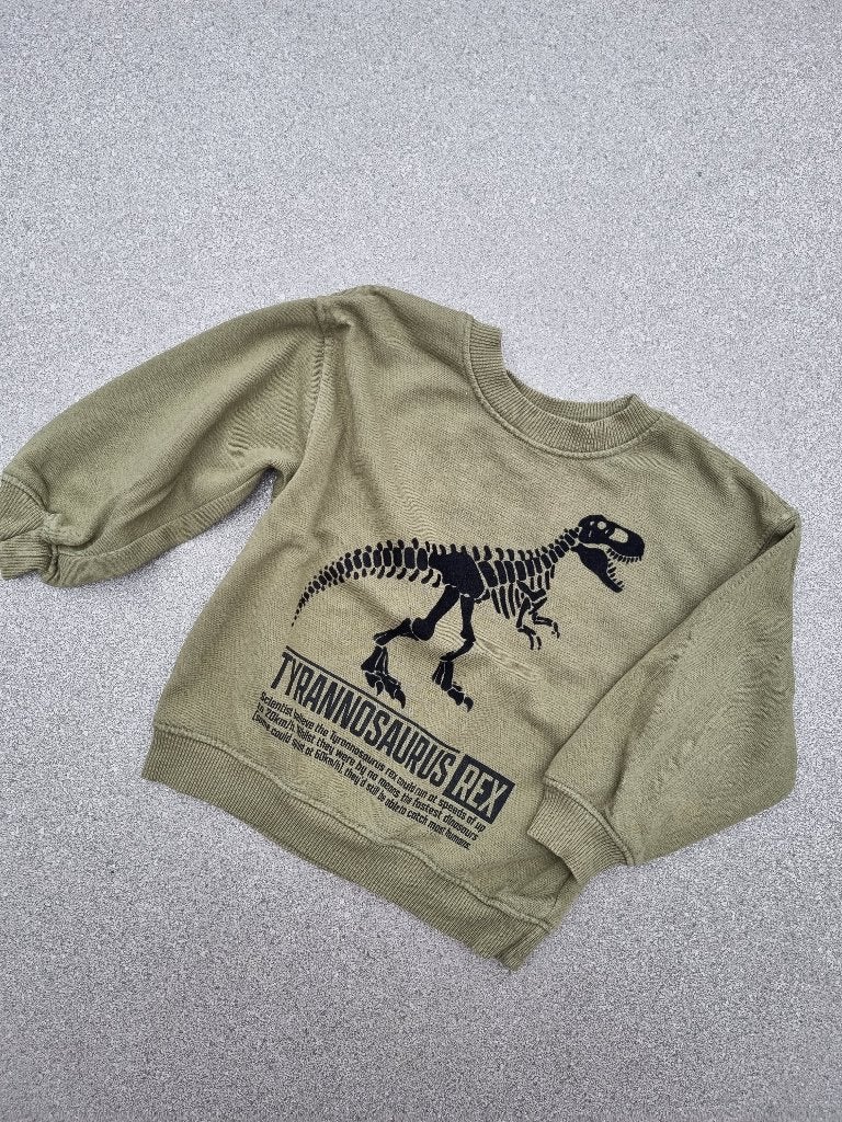 jongenskleding, Enlèvement, Utilisé, Garçon, Pull ou Veste