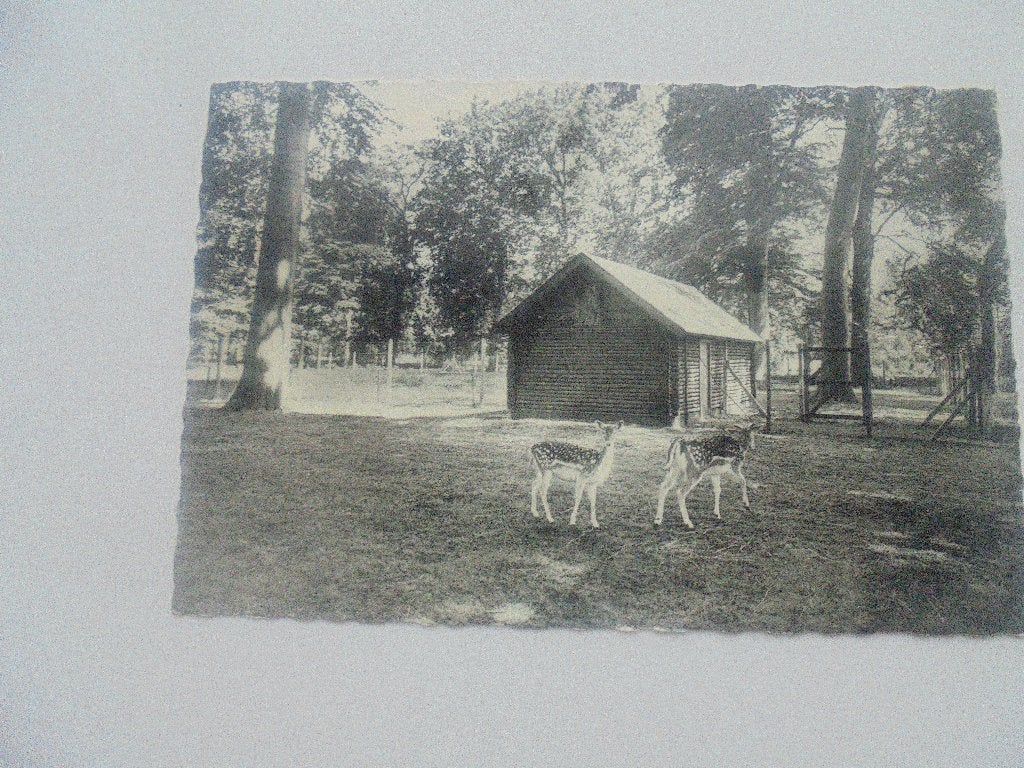 schoten-withof park, Verzenden, 1960 tot 1980, Gelopen, Antwerpen