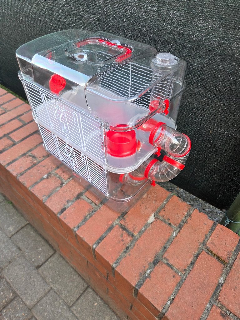 Nieuwe hamsterkooi, Dieren en Toebehoren, Ophalen, Kooi, 60 tot 90 cm, Muis