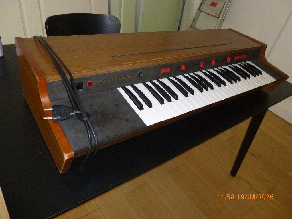 Solina String Ensemble, Musique & Instruments, Enlèvement