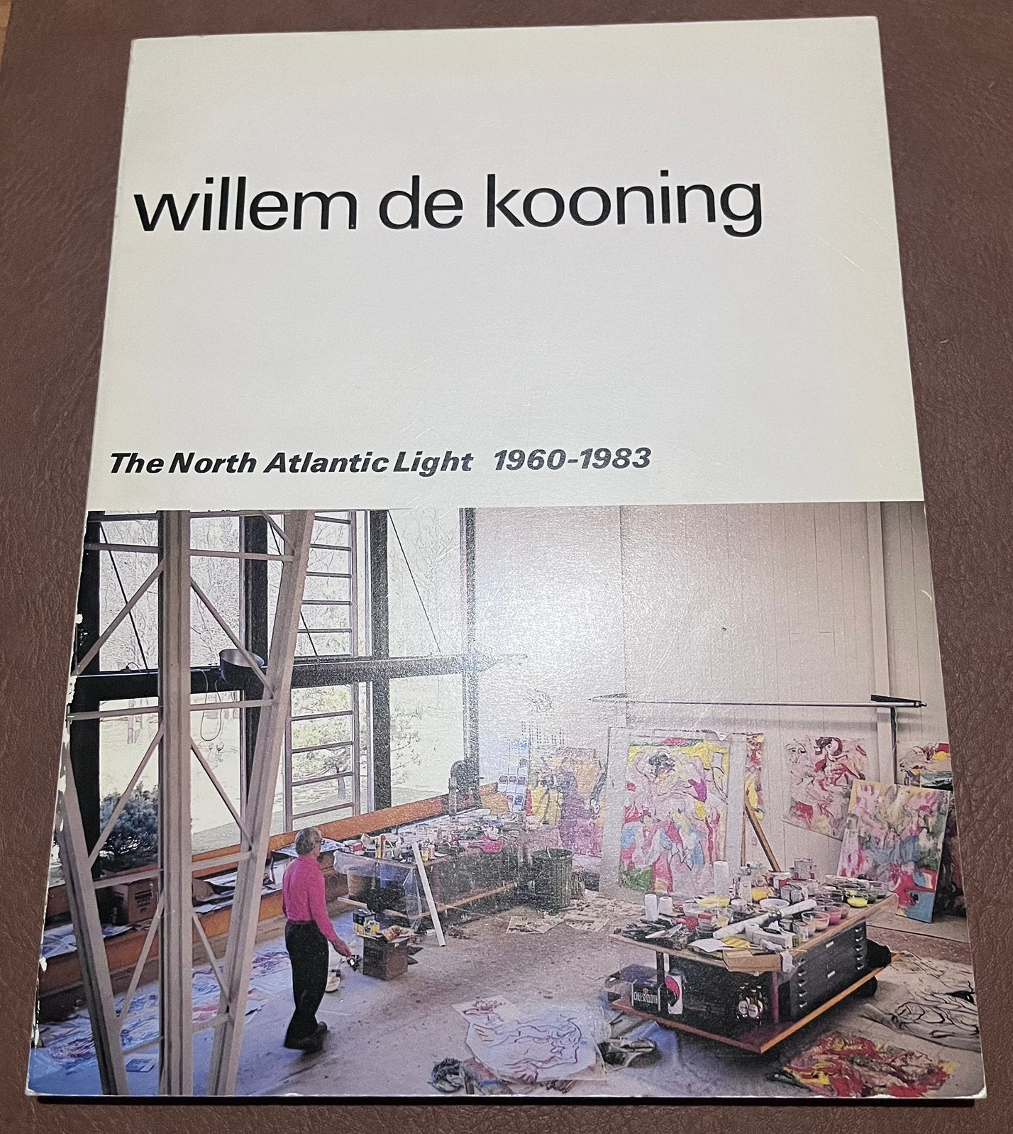 Boek - Willem de Kooning - The North Atlantic Light 1960/83, Boeken, Ophalen of Verzenden, Gelezen, Schilder- en Tekenkunst