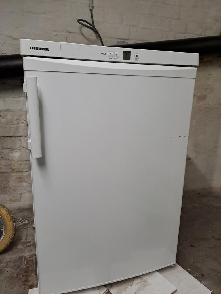 Diepvries Liebherr, Elektronische apparatuur, Vriezers en Diepvrieskisten, Ophalen