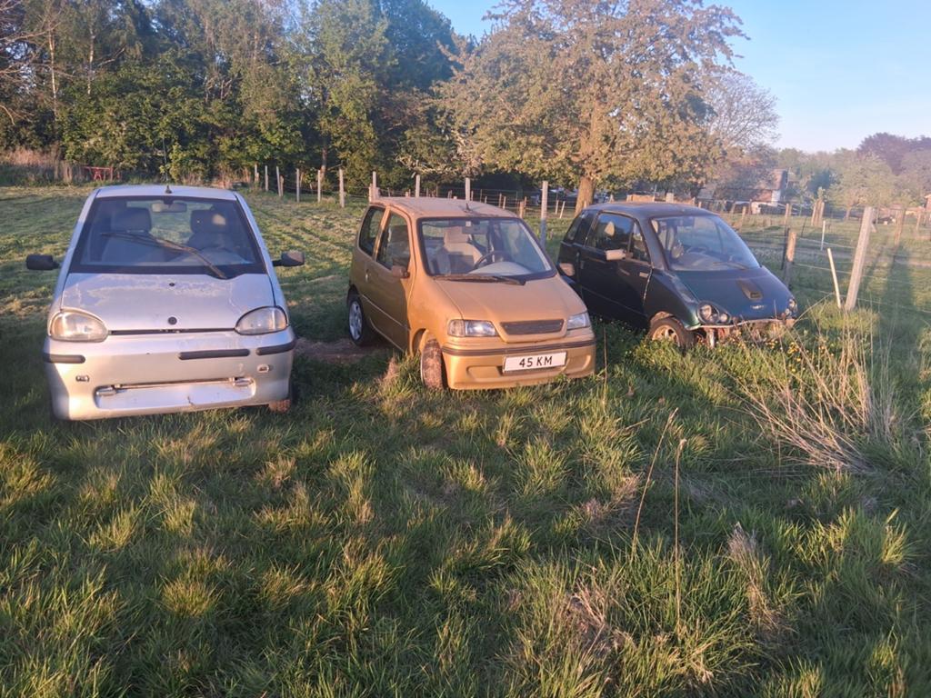 Brommobielen partii opknappers, Ophalen