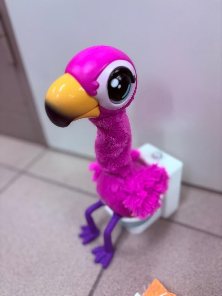 GottaGo Flamingo, Enlèvement ou Envoi, Utilisé