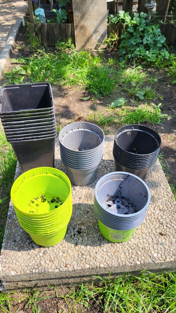 Pots de fleurs variés (10 pièces pour 1 euro), Enlèvement ou Envoi
