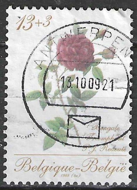 Belgique 1988 - Yvert/OBP 2280 - Roses de Redoute (ST), Envoi, Affranchi, Oblitéré