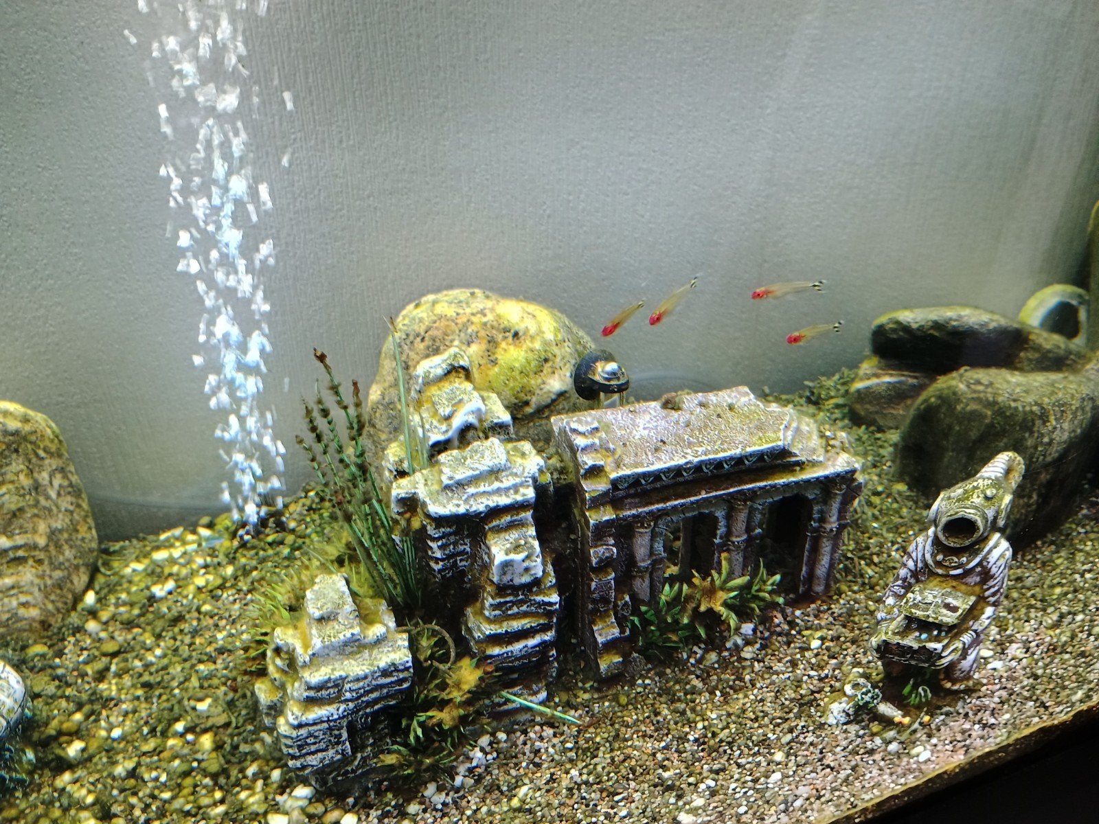 aquarium met meubel 100x40x50, is nog in gebruik ,, Animaux & Accessoires, Autres espèces