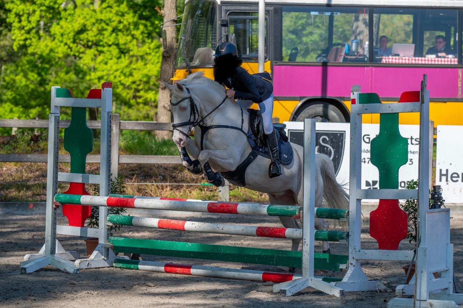 Allround D welsh pony, Dieren en Toebehoren, Pony's, Ruin, D pony (1.37m tot 1.48m), Recreatiepony, 7 tot 10 jaar
