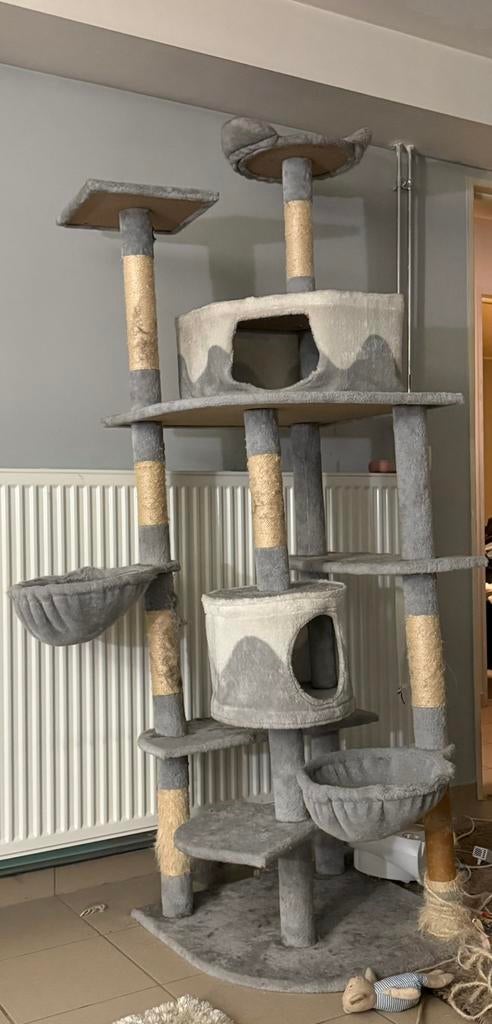 Kattenboom gratis, Dieren en Toebehoren, Ophalen, Zo goed als nieuw