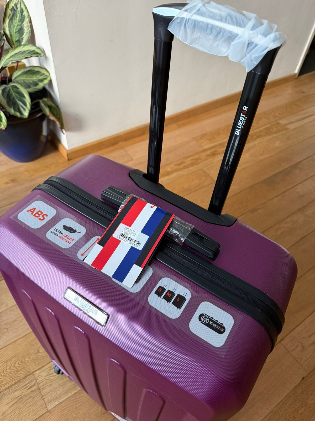 BLUESTAR - Grande valise HAGEN 75 cm 4 roues, Bijoux, Sacs & Beauté, Enlèvement ou Envoi, Neuf