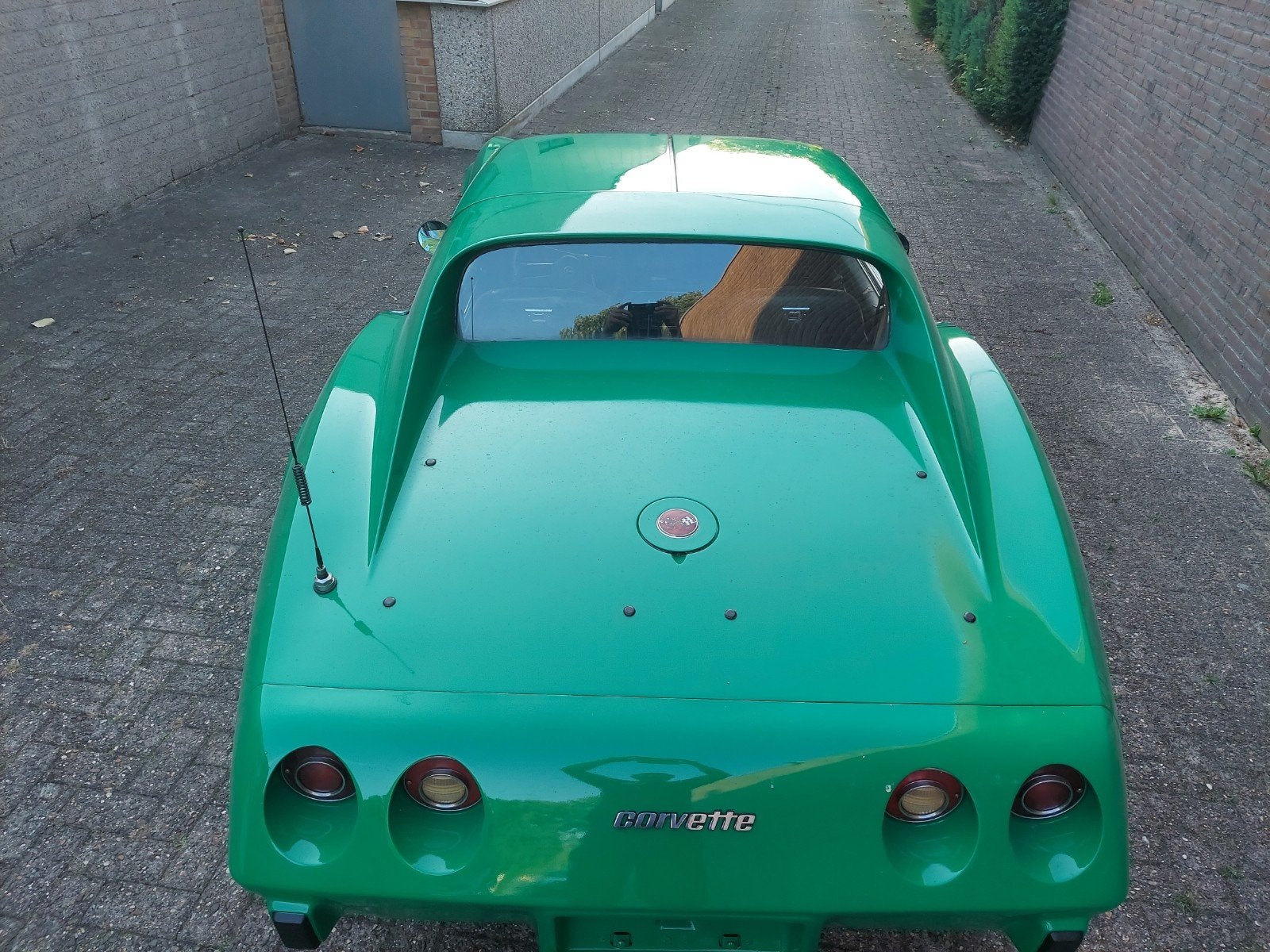 Corvette C3 1976 V8 NL kenteken, foto 5