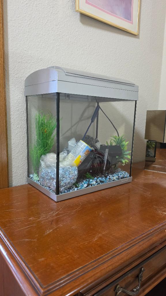 Aquarium avec chauffage et filtre, Chauffage, Meuble d'aquarium, Enlèvement, Utilisé
