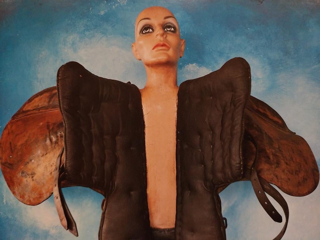 Ik zoek grote schilderijen en assemblages van Andre Bogaert, Antiek en Kunst, Ophalen