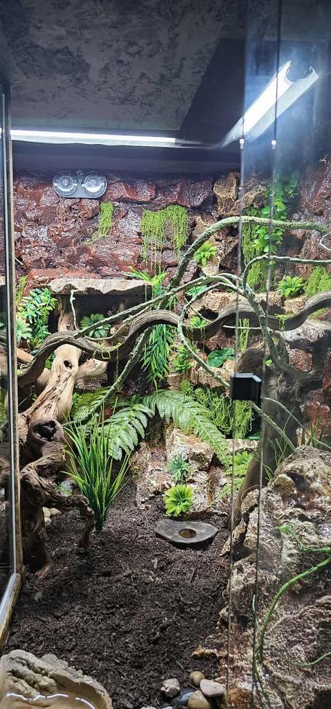 Zelfgemaakt terarrium, Dieren en Toebehoren, Overige soorten, Met terrarium, 0 tot 2 jaar