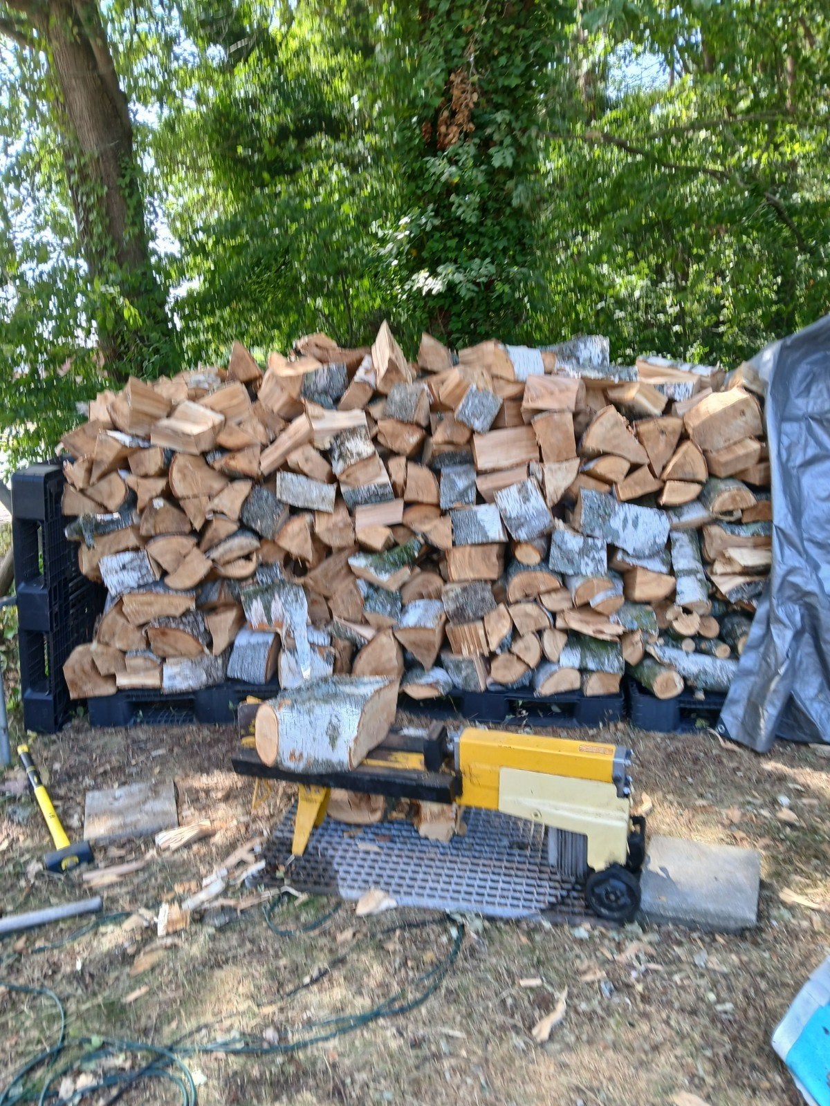 Bois de chauffage en bouleau, Enlèvement