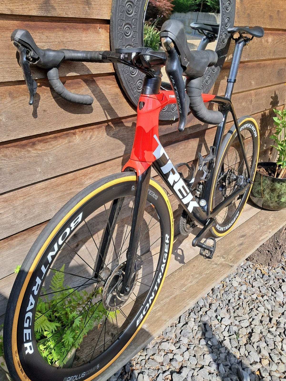 Trek emonda sl6, Enlèvement ou Envoi, Carbone