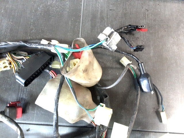 FES125 Pantheon 1997 - 2006 Honda Kabelboom D1-55849