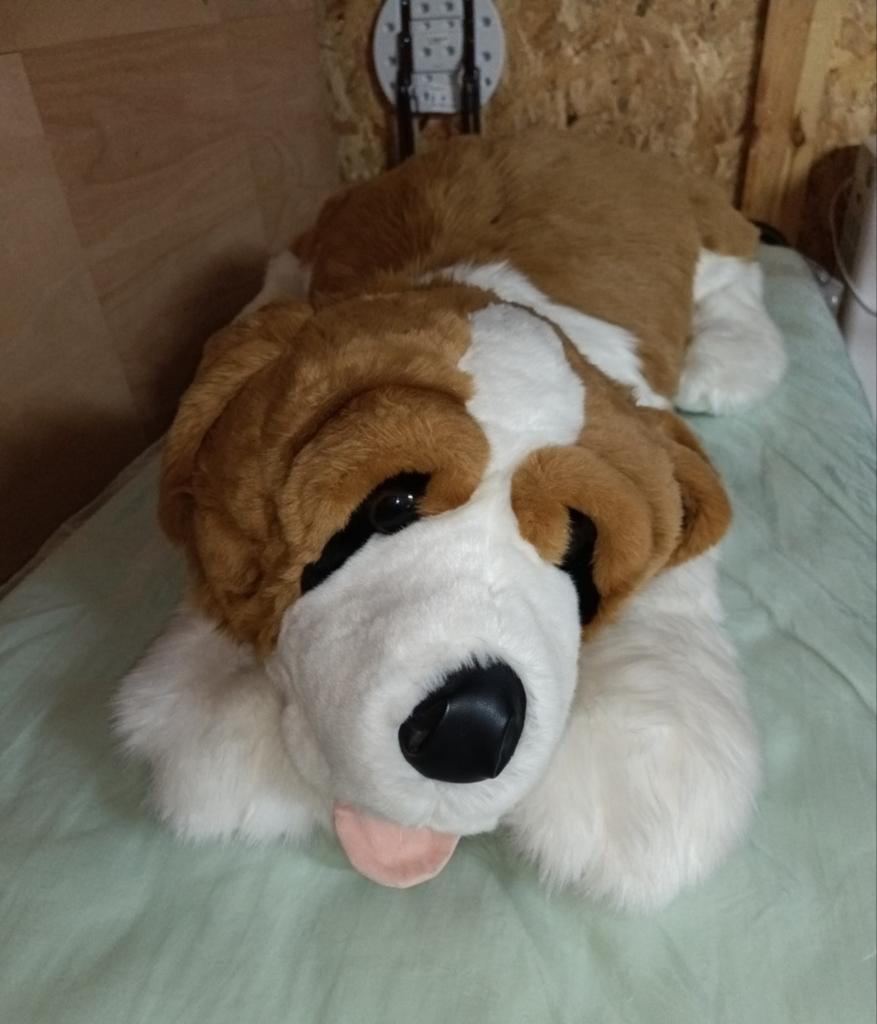 Peluche Saint Bernard taille réelle, Kinderen en Baby's, Speelgoed | Knuffels en Pluche