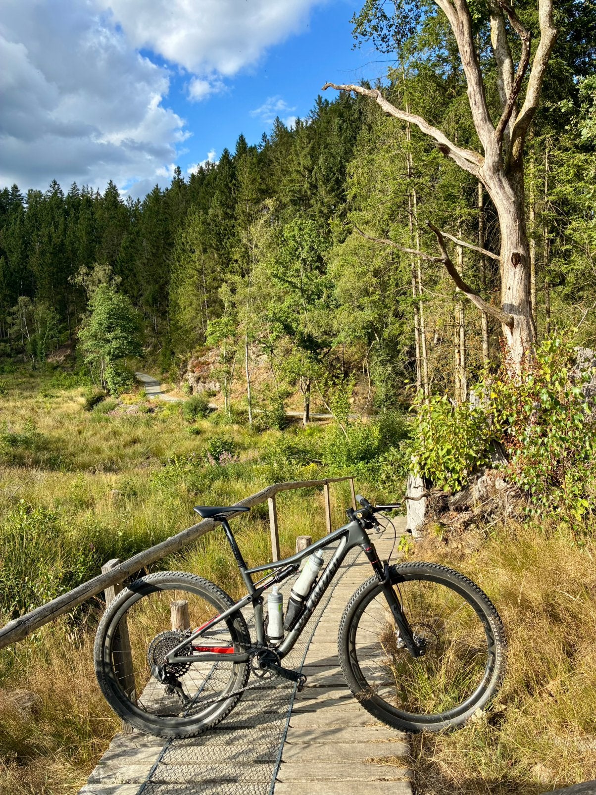 Specialized Epic Medium, Autres marques, Enlèvement, Frein à disque, Utilisé