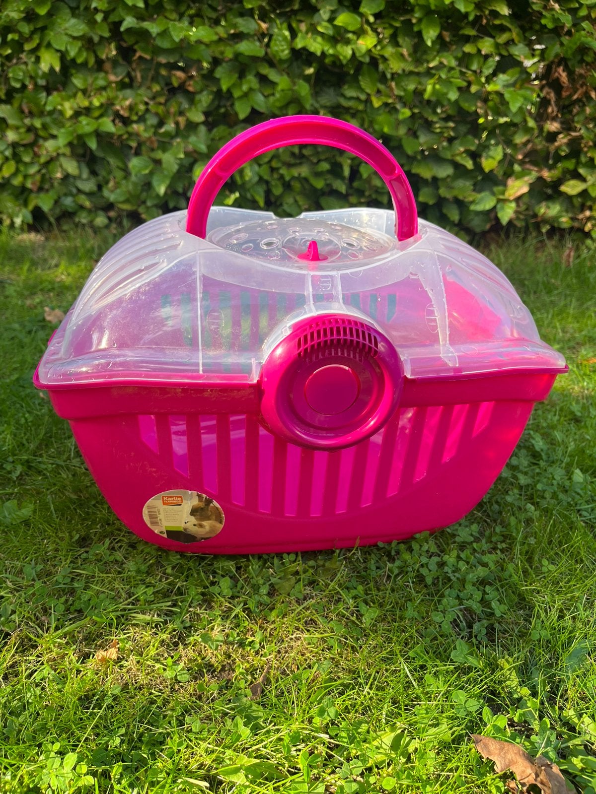 Transportbox, Enlèvement, Comme neuf