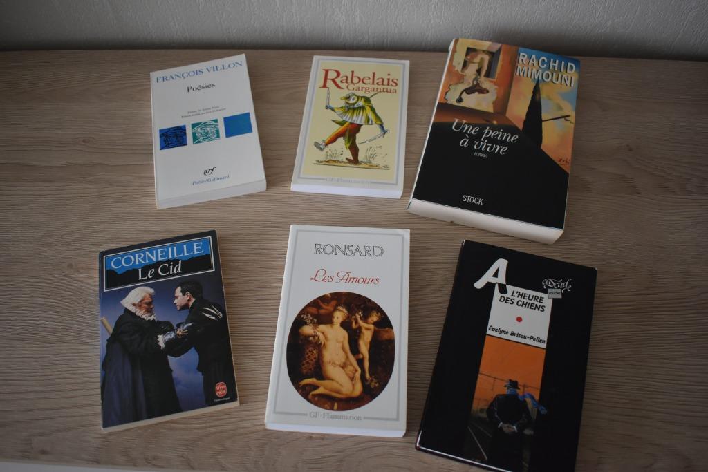 leesboekjes Frans, Ophalen, Gelezen