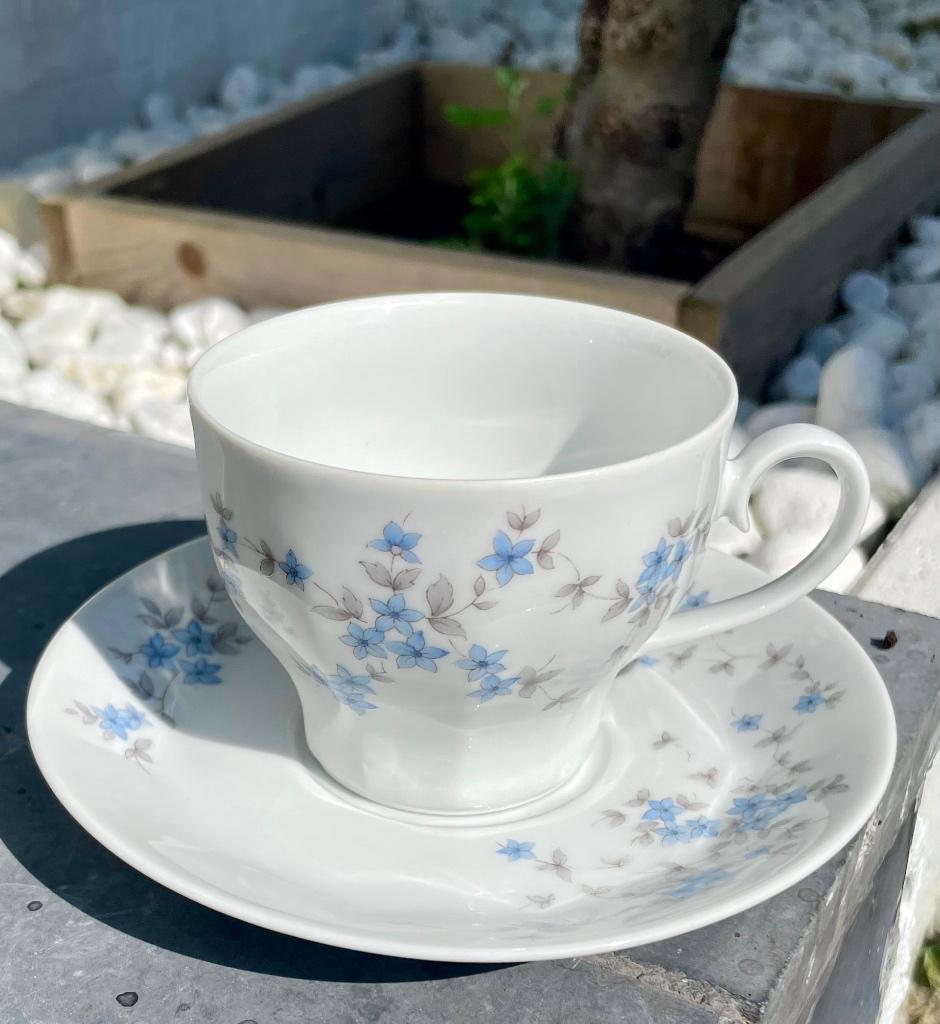 Vintage 21 stuk  koffie / thee set van Bavaria Mitterteich, Antiek en Kunst, Ophalen of Verzenden