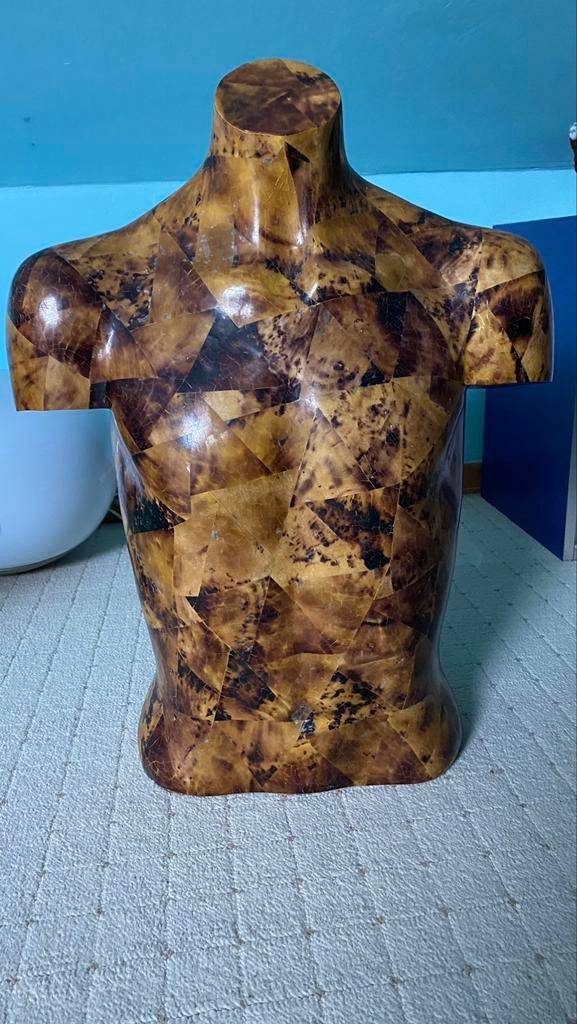 Très beau buste homme, Ophalen