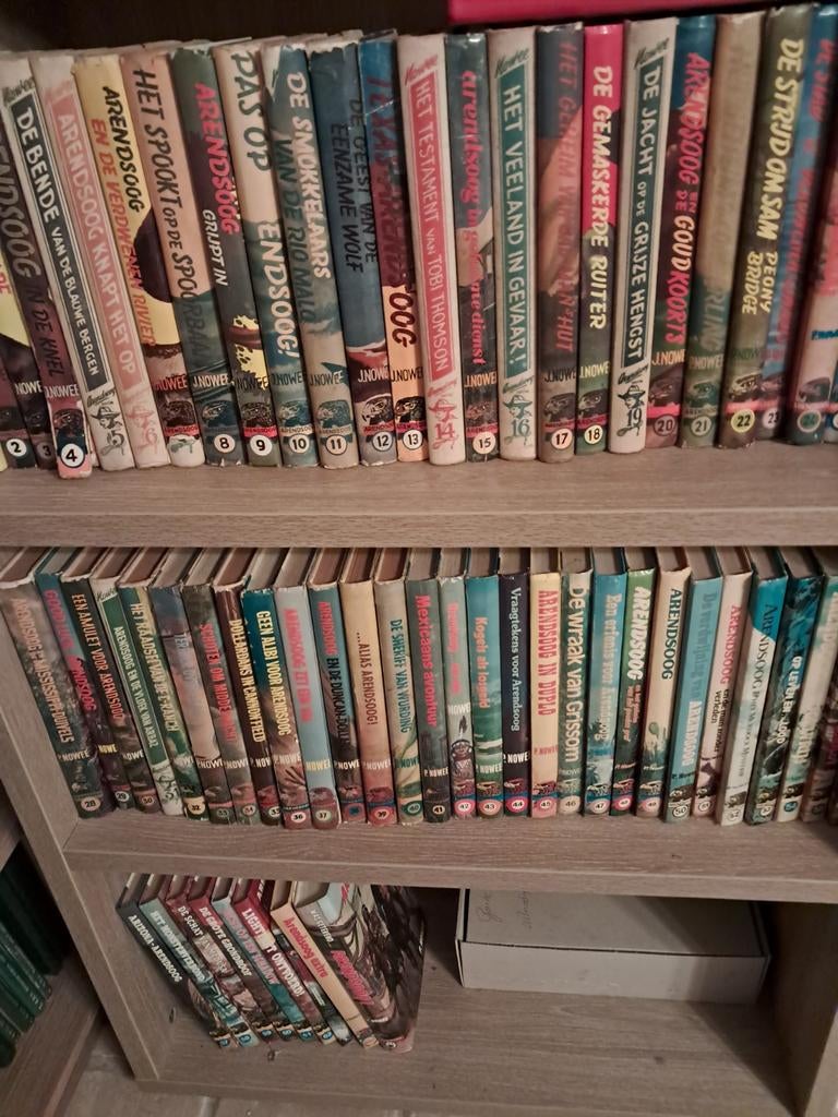 Arendsoog volledige reeks + extra's, Boeken, Ophalen
