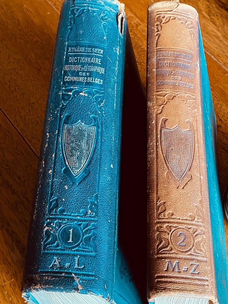 Vintage: 2 woordenboeken van Belgische gemeenten, Boeken, Gelezen, 19e eeuw, Ophalen of Verzenden, Eugène DE SEYN