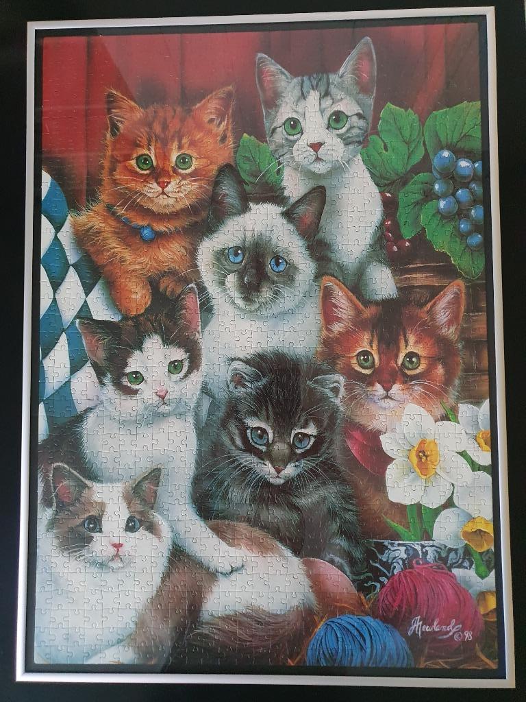 Legpuzzel met katten, ingelijst maar niet geplakt, Hobby en Vrije tijd, Ophalen, 500 t/m 1500 stukjes, Zo goed als nieuw, Legpuzzel