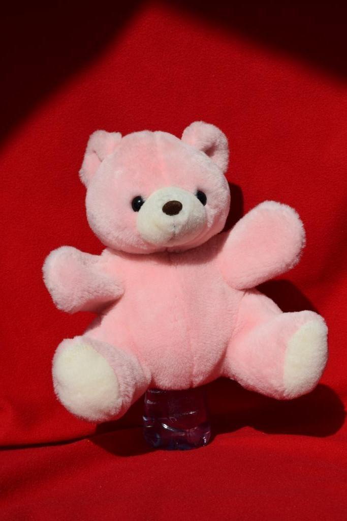 grote zachte handpop roze beer, Ophalen of Verzenden, Gebruikt, Beer