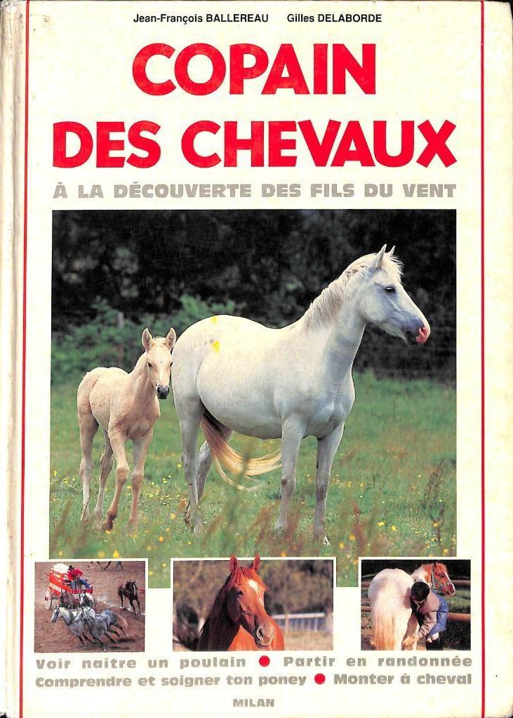 Lot 4 livres sur les chevaux – équitation et comportement., Enlèvement ou Envoi, Utilisé, Chevaux ou Poneys