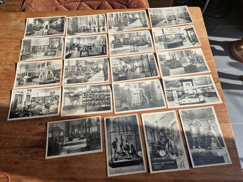 Lot van 20 postkaarten Tervuren musée du Congo Belge, Collections, Enlèvement ou Envoi
